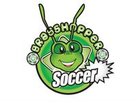 two grasshopper soccer franchises - 1
