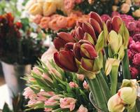 florist gift shop canberra - 3