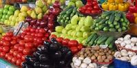 fruit veg excellent setup - 1