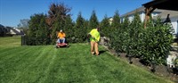 established landscaping garden design - 2
