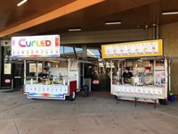 curled icecream franchise ready - 3