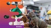 36834 dog grooming daycare - 2