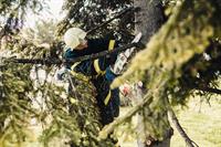 proven arboriculture business with - 3