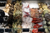 seafood retail business heidelberg - 2