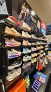 established profitable sporting goods - 3
