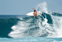 33017 profitable online surf - 1