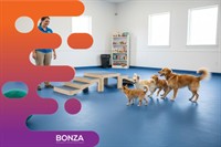 37114 profitable dog daycare - 2