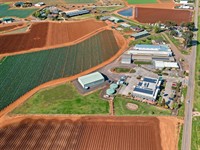diversified food business 1m+ - 1