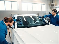windscreen repair business for - 1