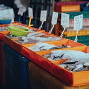 coming soon fresh seafood - 1