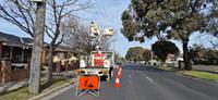 vegetation maintenance municipal contractor - 3