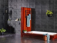 premium bathroom renovation retail - 3