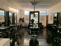 established coastal hair beauty - 2