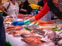 high turnover fish shop - 3