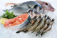fresh seafood mulgrave tkg - 2