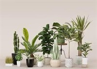 artificial plants--mitcham 1p10820 for - 1