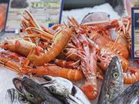 seafood wholesaler with retail - 2