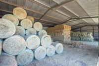 wrt feed shed stockfeed - 3