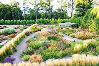 wholesale retail nursery established - 1