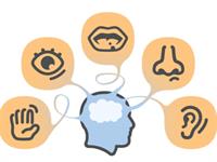 thriving sensory educational online - 2
