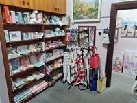 tourist hotspot toy store - 3