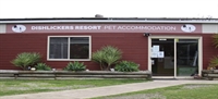 premium pet boarding care - 2
