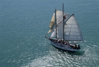sea change profitable sailing - 1