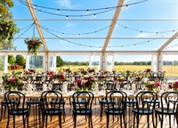 bendigo party hire - 2