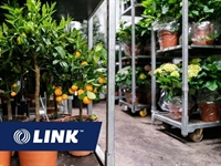 wholesale nursery mixed agricultural - 1