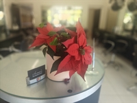 hair salon business - 1