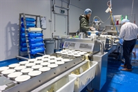 brisbane food manufacturing business - 2