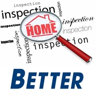 housing pre-purchase pest inspections - 1