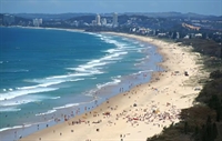 beachside ice cream franchise - 2
