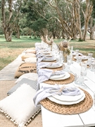 luxury picnic business - 2