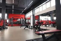 high potential functional fitness - 1
