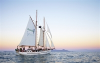 sea change profitable sailing - 2