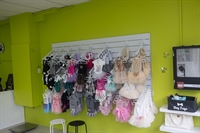 premium dog grooming daycare - 2