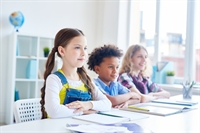 newsagency stationery office school - 3