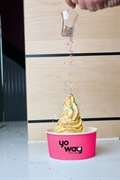 yo way franchise unleash - 3