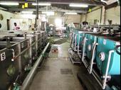 olive oil production company