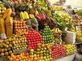 fruit vegetables shop bordeaux