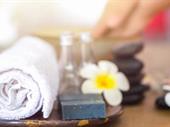 spa abbotsford 5004442 for