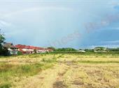 large plot of land