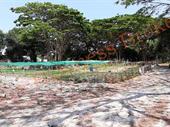 freehold land 7 rai