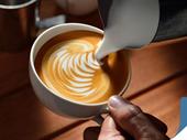 exciting sydney restaurant bar