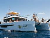 amazing well established catamaran