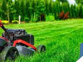 mowing gardening business for