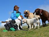 pet sector franchise opportunity