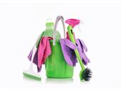 maid cleaning business online
