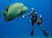 get wet scuba for
